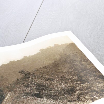 Sumatra, Anai Gorge from train railway, Indonesia by Anonymous