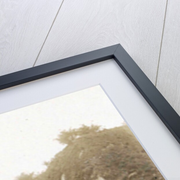 Sumatra indonesia fields Karbouwengat by Anonymous