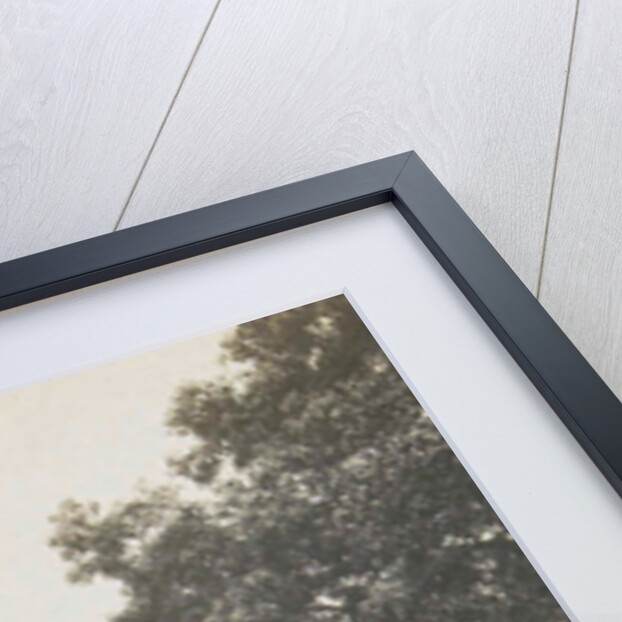 Singapore botanical garden by Anonymous