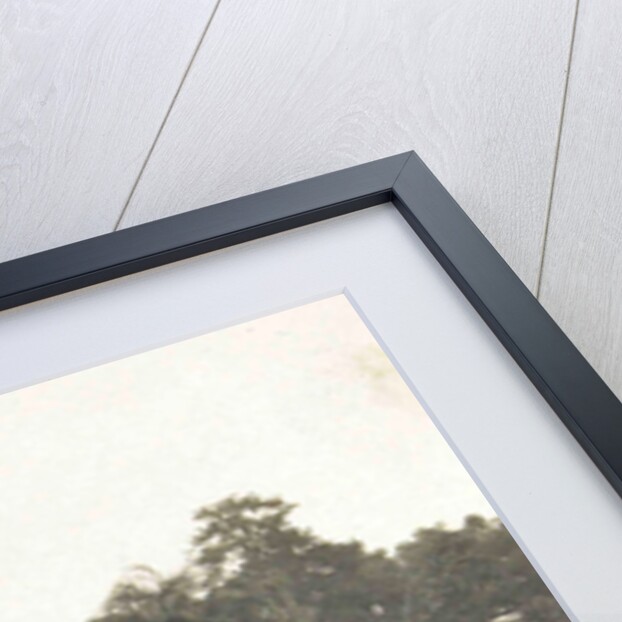 Buitenzorg, Indonesia, the botanical garden by Anonymous