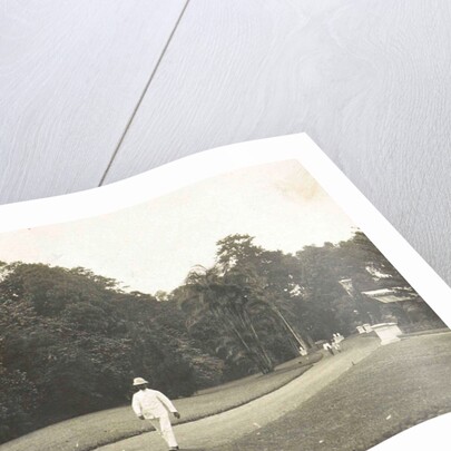 Buitenzorg, Indonesia, the botanical garden by Anonymous