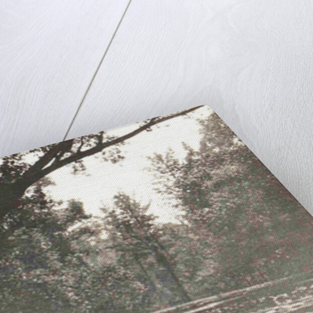 Buitenzorg, Indonesia, the botanical garden by Anonymous