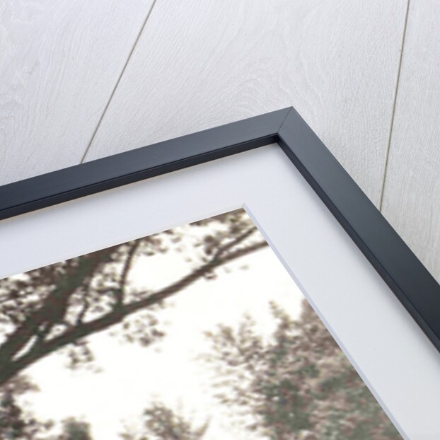 Buitenzorg, Indonesia, the botanical garden by Anonymous