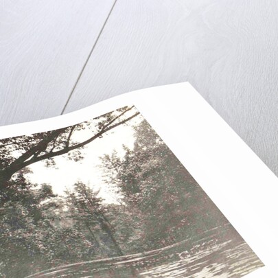 Buitenzorg, Indonesia, the botanical garden by Anonymous