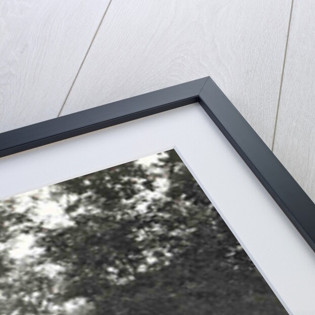 Priangan, cars on the road past the Tji Sokan, Indonesia by Anonymous