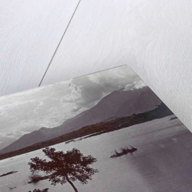 Java, lake of Bongadit to Priangan by Anonymous