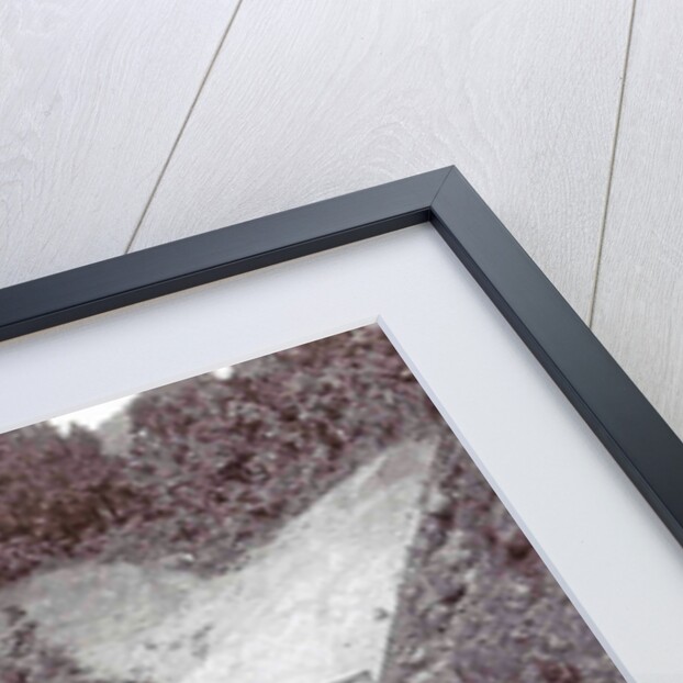 Java, Indonesia, way beyond Tjiseroepan to the South Coast by Anonymous