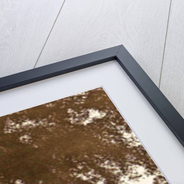 Java, Indonesia, Garut with aloon-aloon and prison by Anonymous