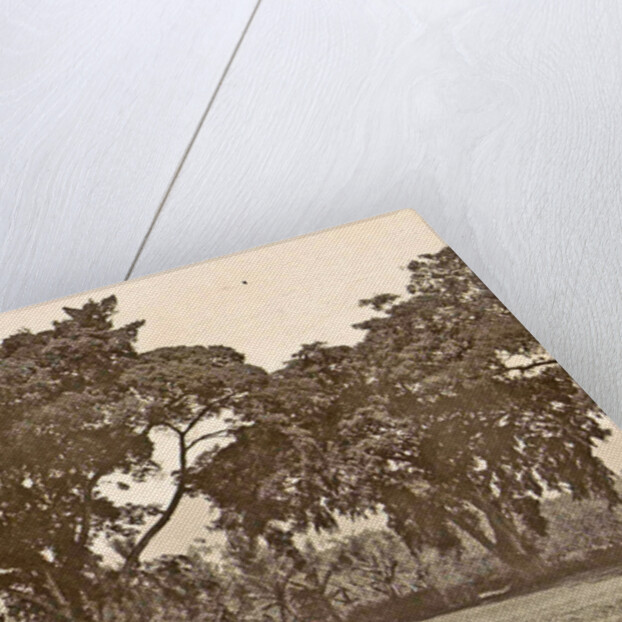 Java, Indonesia aloon-aloon the dessa Tjiseroepan by Anonymous