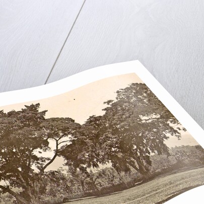 Java, Indonesia aloon-aloon the dessa Tjiseroepan by Anonymous