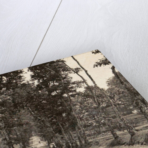 Road between Bander-Negara and Ninisvbo by Anonymous