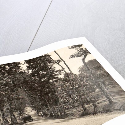 Road between Bander-Negara and Ninisvbo by Anonymous