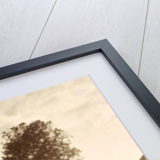 Java, Indonesia, mountain Sindoro to Ninisvbo by Anonymous