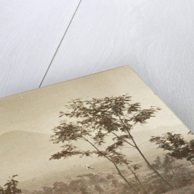 Java, Indonesia, mountain Sindoro to Ninisvbo by Anonymous