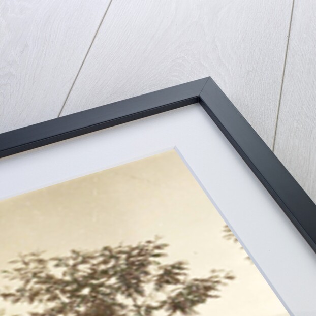 Java, Indonesia, mountain Sindoro to Ninisvbo by Anonymous