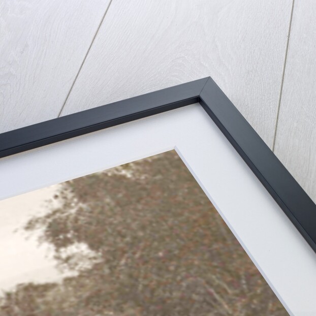 Java, Indonesia Ninisvbo with paddy fields and river by Anonymous