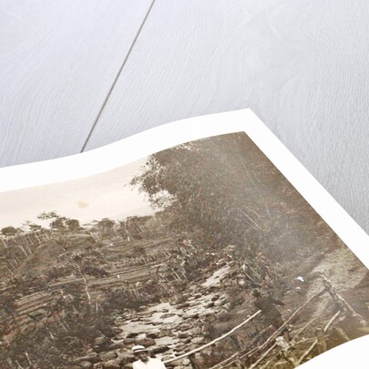 Java, Indonesia Ninisvbo with paddy fields and river by Anonymous