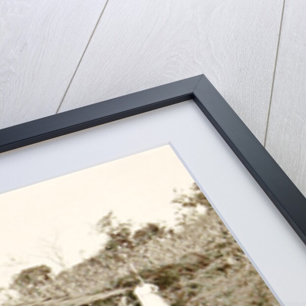 Java Ninisvbo, Indonesia by Anonymous