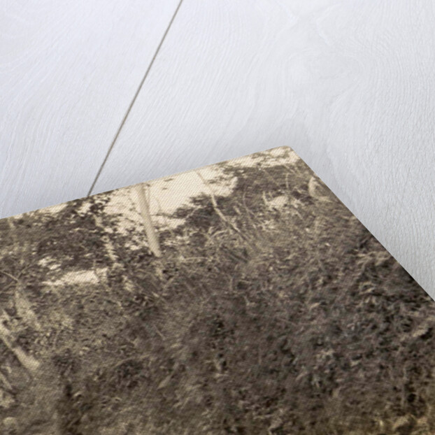 Java, lake of Mindjer with coolies towards plateau Indonesia by Anonymous