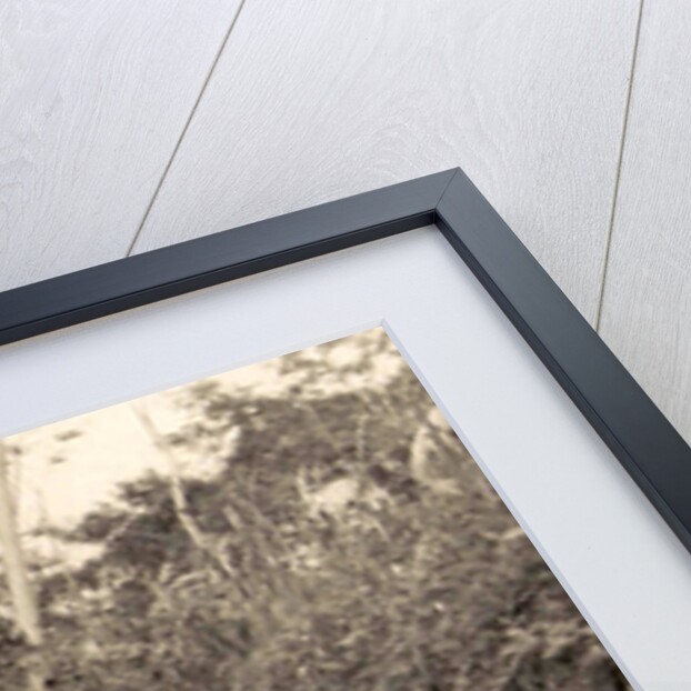 Java, lake of Mindjer with coolies towards plateau Indonesia by Anonymous