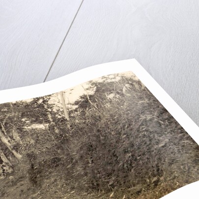 Java, lake of Mindjer with coolies towards plateau Indonesia by Anonymous