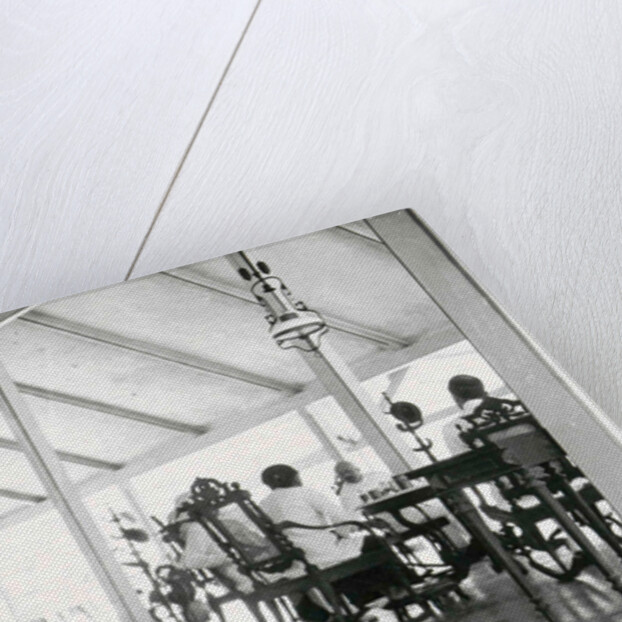 Java group in interior of Regent of Wonosobo, Indonesia by Anonymous