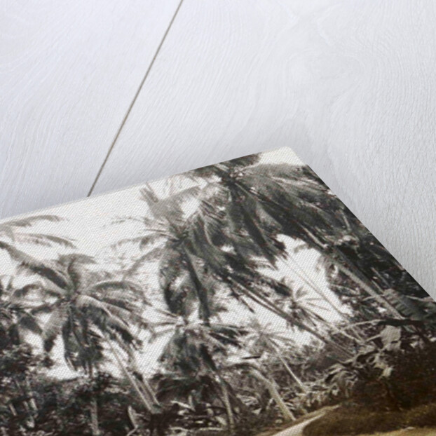 Java, Indonesia, away from Medan to Belawan by Anonymous