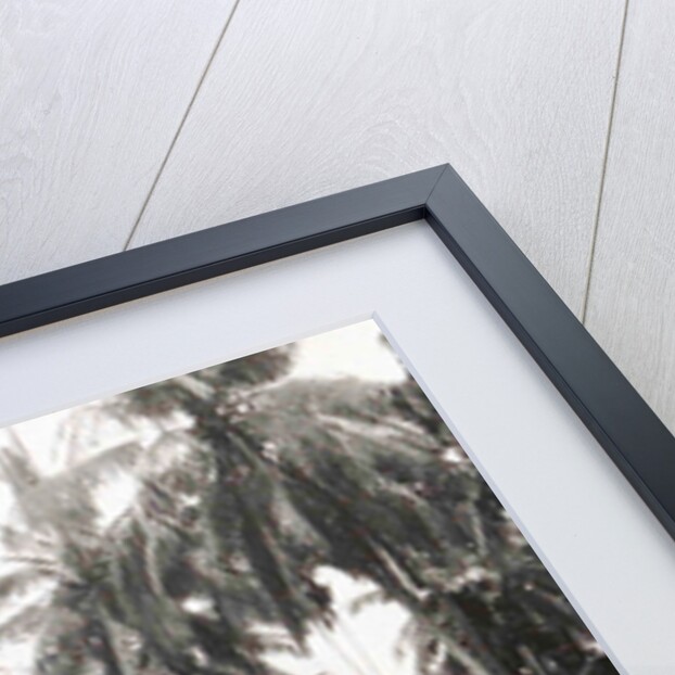 Java, Indonesia, away from Medan to Belawan by Anonymous