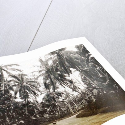 Java, Indonesia, away from Medan to Belawan by Anonymous