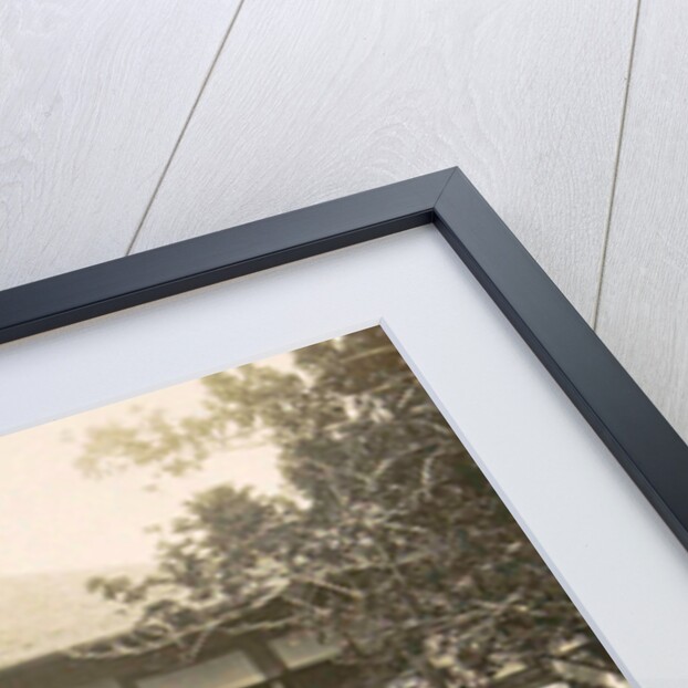 Medan, home of Mr. Heinecken with garden, Indonesia by Anonymous