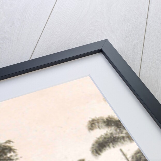 Medan, home of Mr. Heinecken with garden, Indonesia by Anonymous