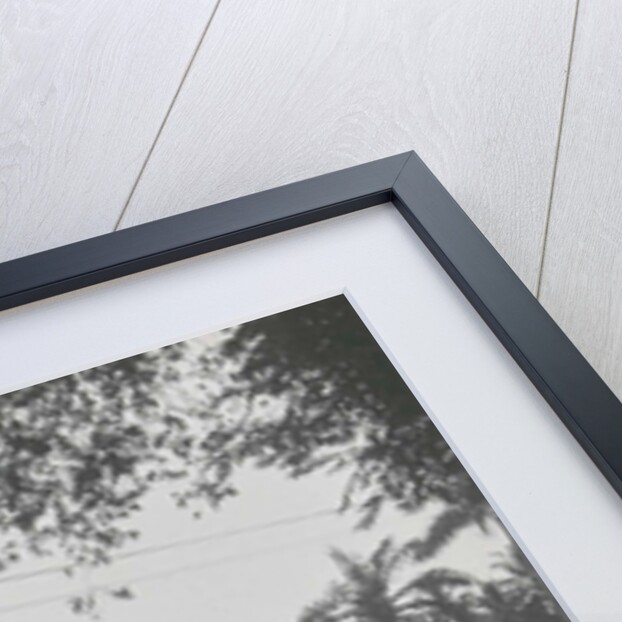 Medan, the White Society, Indonesia by Anonymous