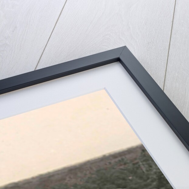 Medan face at the palace of the Sultan of Deli, Indonesia by Anonymous