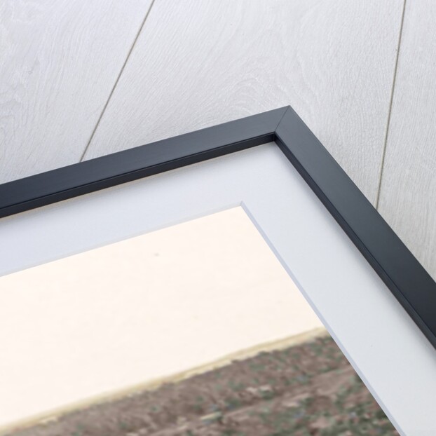 Medan view on the woman home of the Sultan of Deli, Indonesia by Anonymous