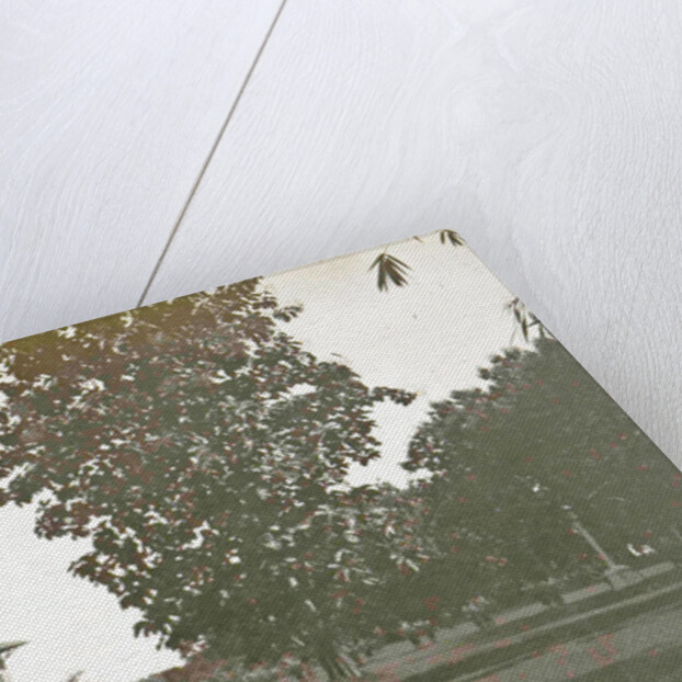 Dutch East Indies, Deli Toewa garden by Indonesia Anonymous