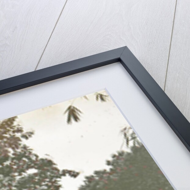 Dutch East Indies, Deli Toewa garden by Indonesia Anonymous