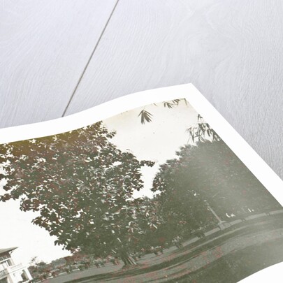 Dutch East Indies, Deli Toewa garden by Indonesia Anonymous