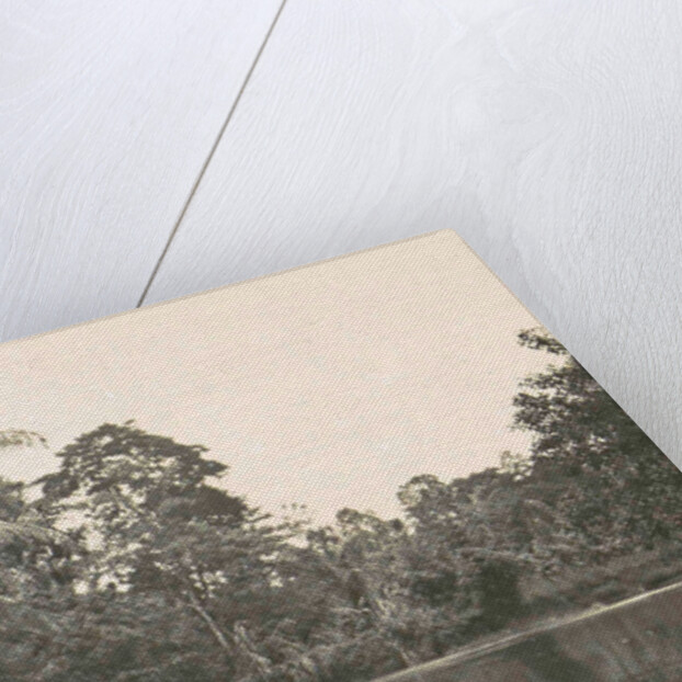 Dutch East Indies, indonesia, River Deli Toewa by Anonymous