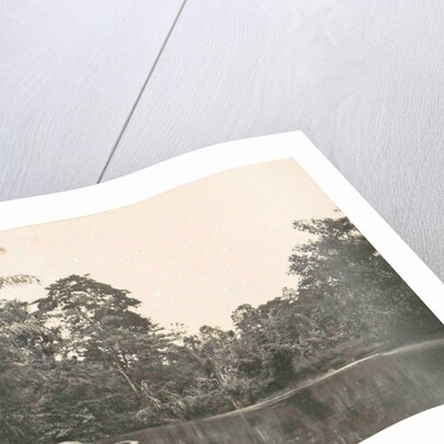 Dutch East Indies, indonesia, River Deli Toewa by Anonymous