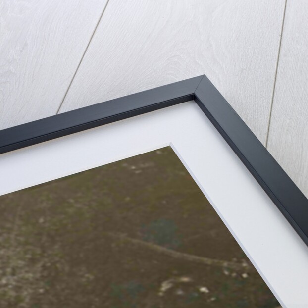 Dutch East Indies, indonesia, driveway Helvetia (Deli Mij) by Anonymous