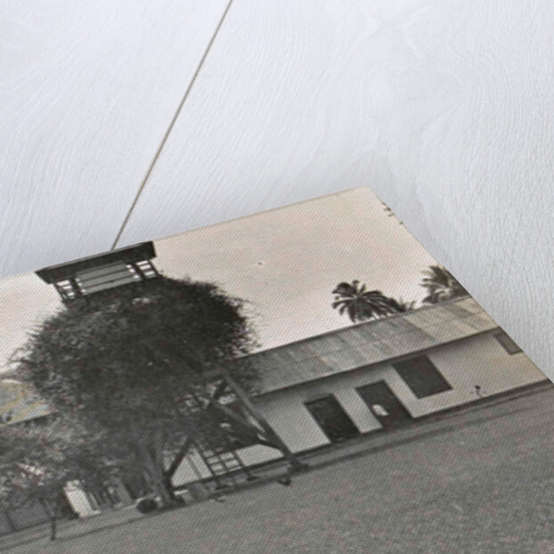 The house and office of the inspector of the Deli Maatschappij in Bindjai Langkat in Sumatra by Anonymous