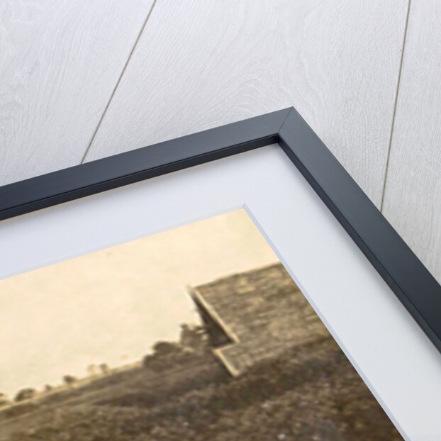 Sumatra indonesia Bindjey estate (Deli Mij) Tobacco field after 120 days by Anonymous