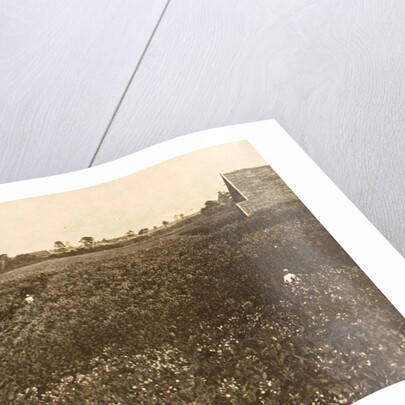 Sumatra indonesia Bindjey estate (Deli Mij) Tobacco field after 120 days by Anonymous