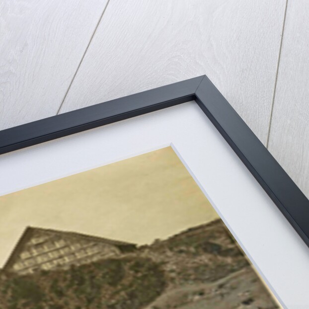 Sumatra indonesia Bindjey estate (Deli Mij) Tobacco field after 40 days by Anonymous