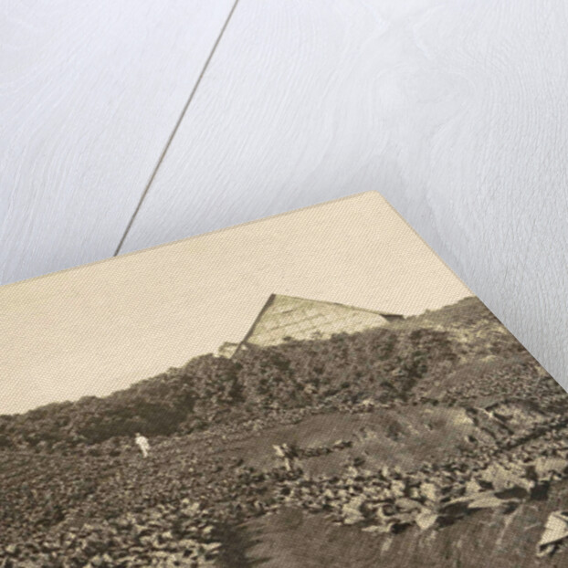 Sumatra, Bindjey estate (Deli Me.) Tobacco field after 80 days, Indonesia by Anonymous