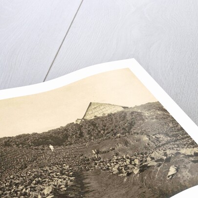 Sumatra, Bindjey estate (Deli Me.) Tobacco field after 80 days, Indonesia by Anonymous