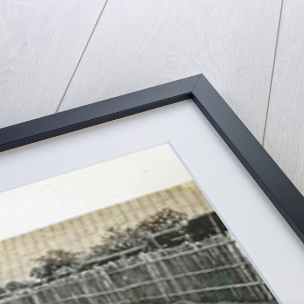 Sumatra indonesia, caterpillars seeking children under supervision by Anonymous