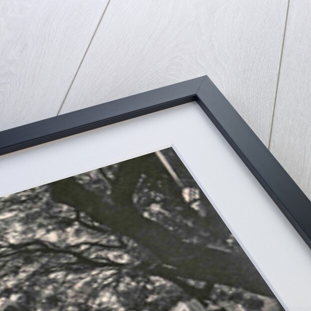 Colombo is the commercial capital and largest city of Sri Lanka by Anonymous