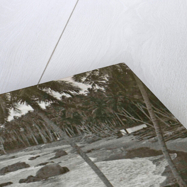 Ceylon, palm beach Mount Levinia in Colombo, Sri Lanka by Anonymous