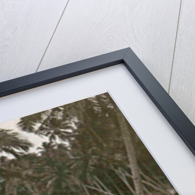 Ceylon, palm beach Mount Levinia in Colombo, Sri Lanka by Anonymous